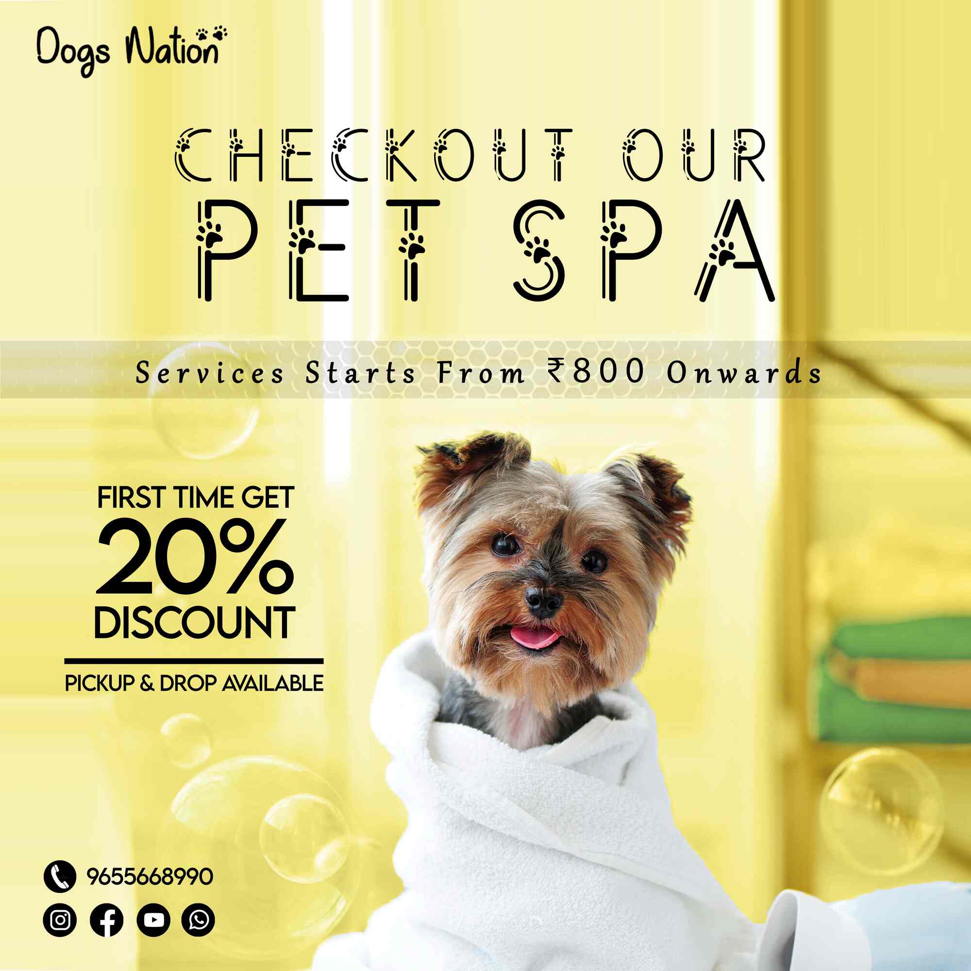 Top Pet Boarding Services in Kavundampalayam, Coimbatore near me Justdial