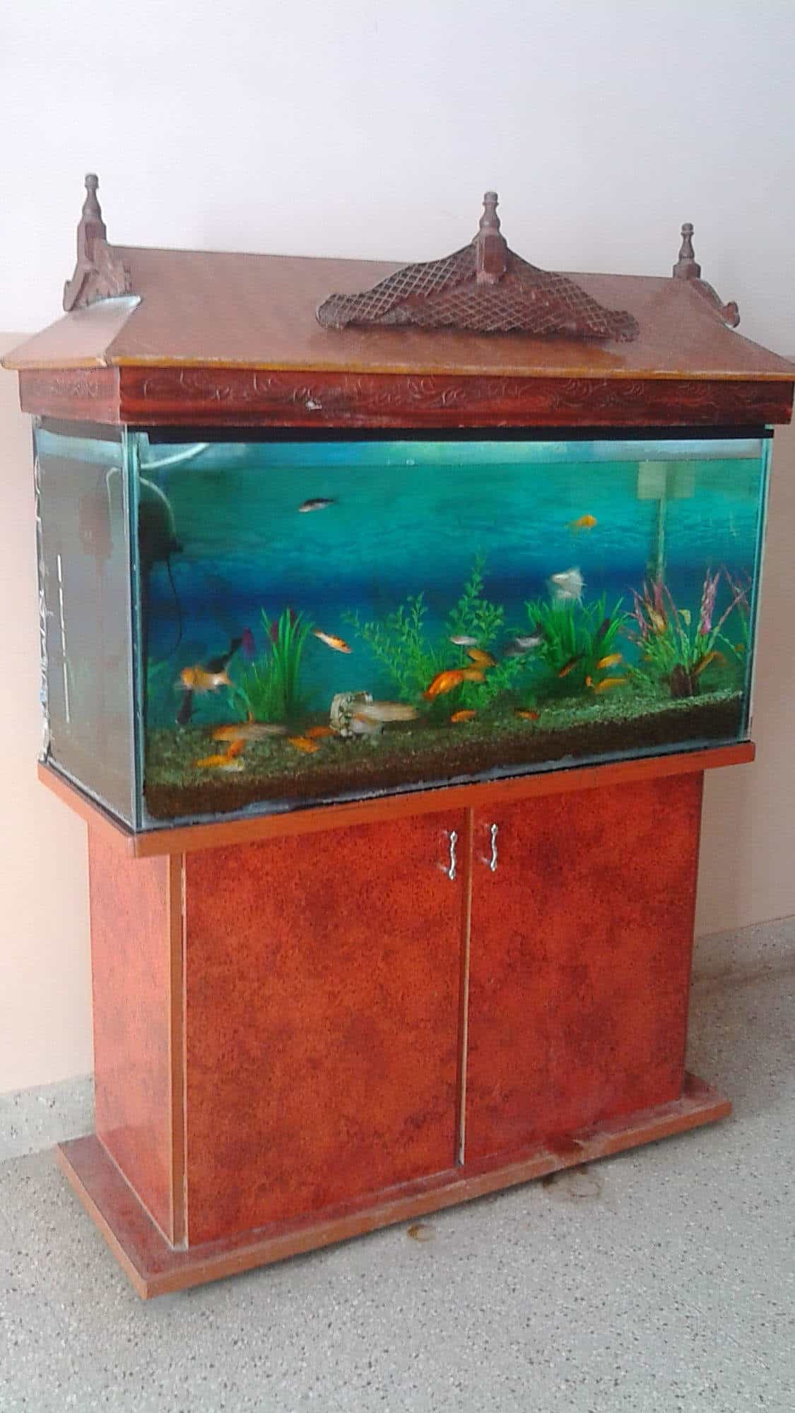 Fish World in Kovaipudur,Coimbatore Best Aquariums in Coimbatore