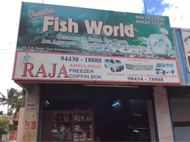 Fish World in Kovaipudur,Coimbatore Best Aquariums in Coimbatore