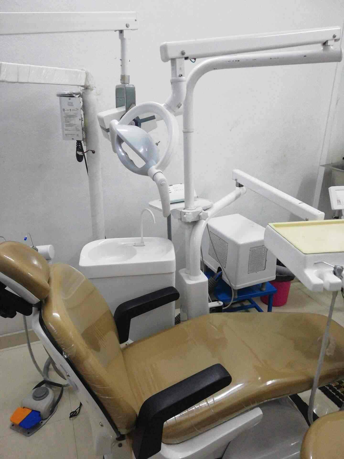 dental clinic veterinary dental specialist near me