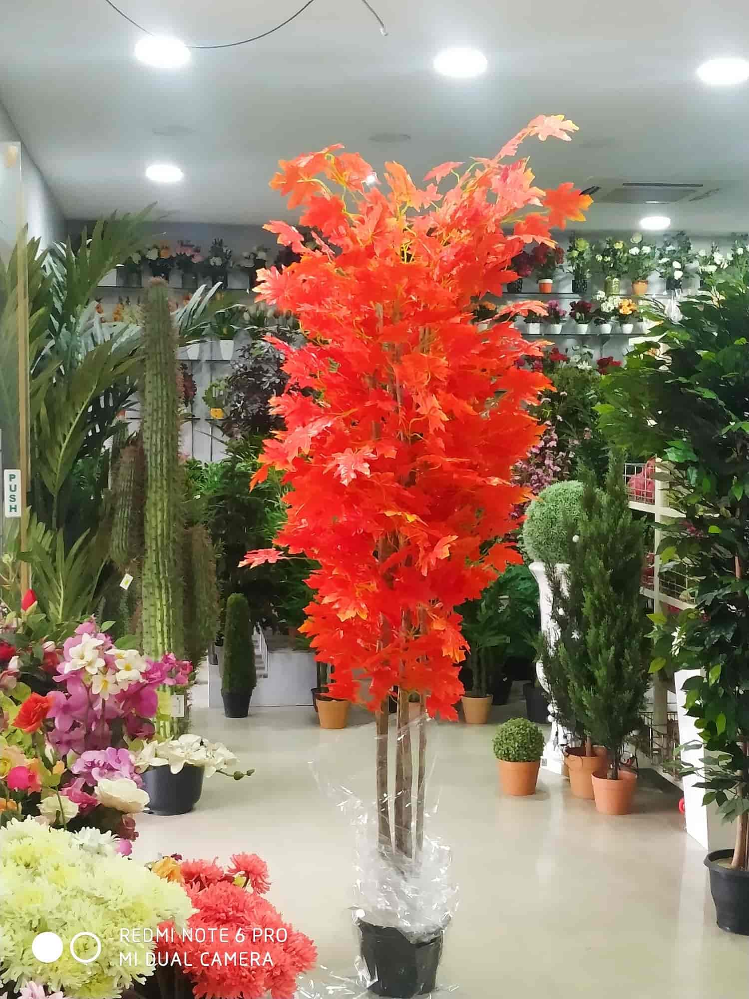 Silver Spring in RS Puram Coimbatore,Coimbatore Best Artificial