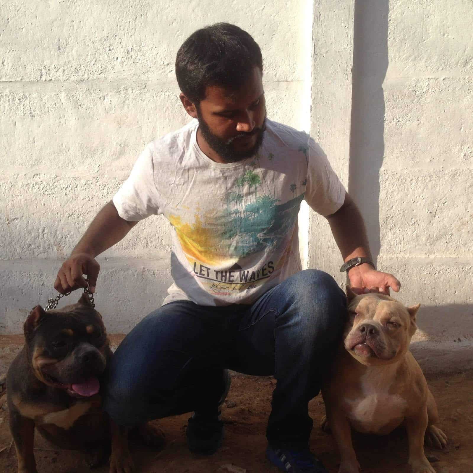 Top Pet Boarding Services in Kavundampalayam, Coimbatore near me Justdial