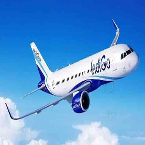 indigo airlines airport office aerodrome indigo airlines indigo airlines login