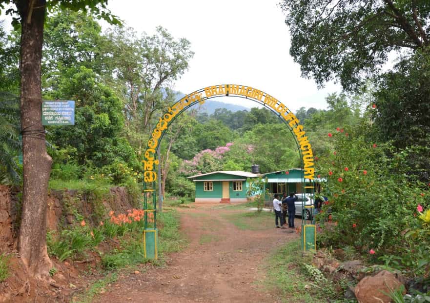 Brahmagiri Wildlife Sanctuary