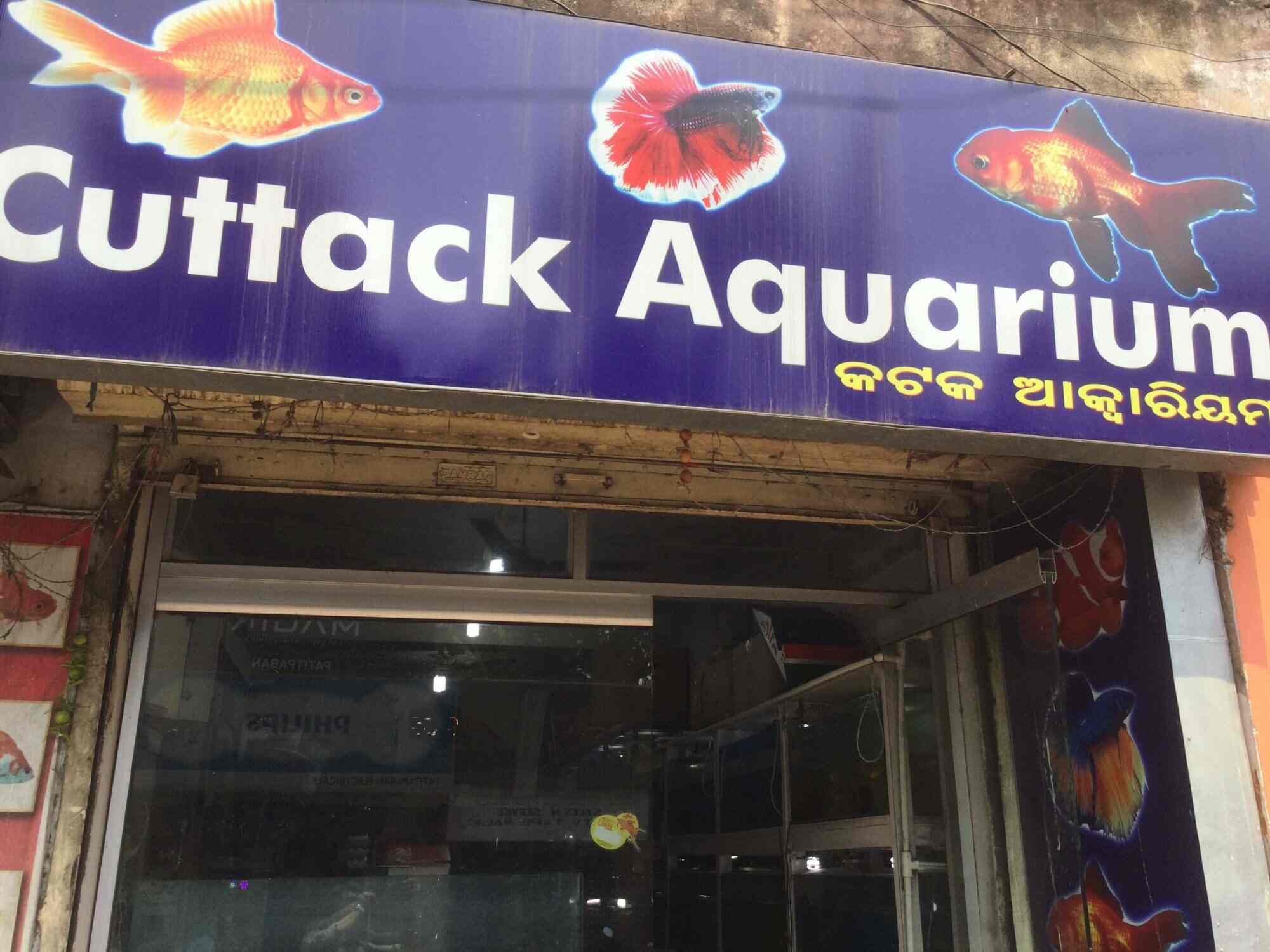 Nearest aquatic hot sale shop