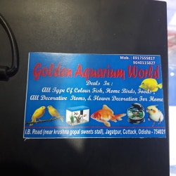 Fish tank deals near me best sale