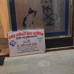 Damoh Animal Care Clinic (Veterinary Clinic) in Damoh HO - Best Pet Clinics in Damoh - Justdial Damoh Animal Care Clinic (Veterinary Clinic) in Damoh HO - Best Pet Clinics in Damoh - Justdial