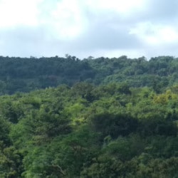 Slide 1 Image of Panorama View Entry Point  Sakhloli, Dapoli