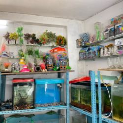Aquarium store nearby 2025