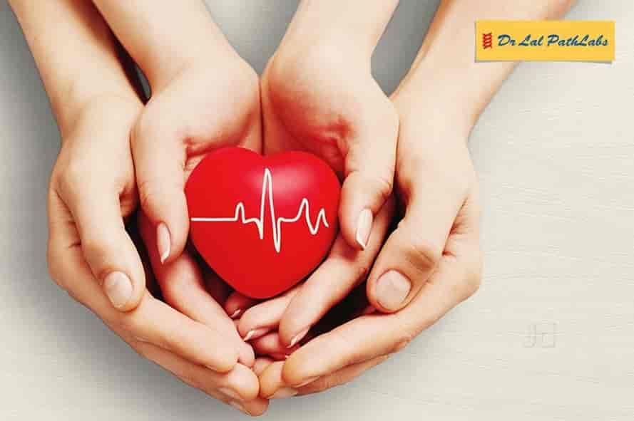 Top Dr Lal Pathlabs Diagnostic Centres in Darbhanga Best Dr Lal
