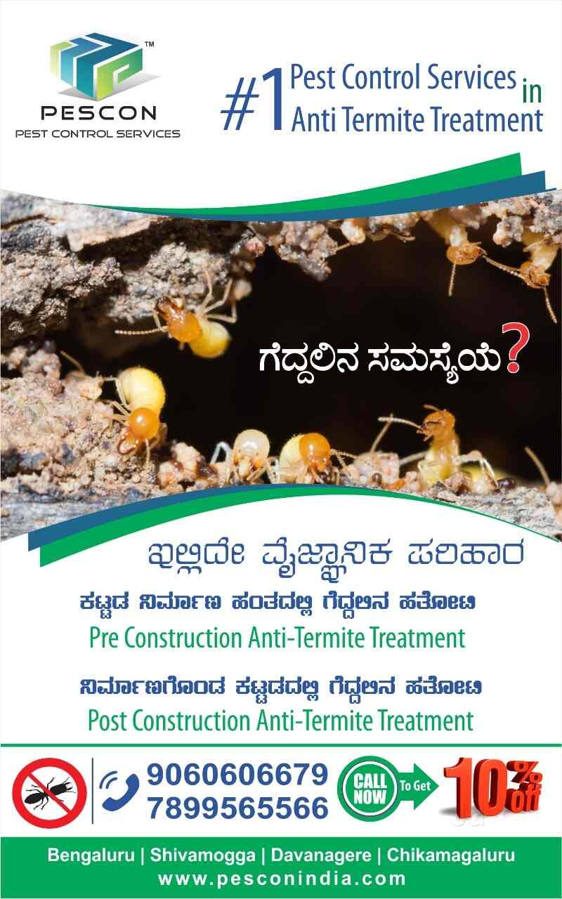 Top Residential Pest Control Services in Davangere Best Pest Control