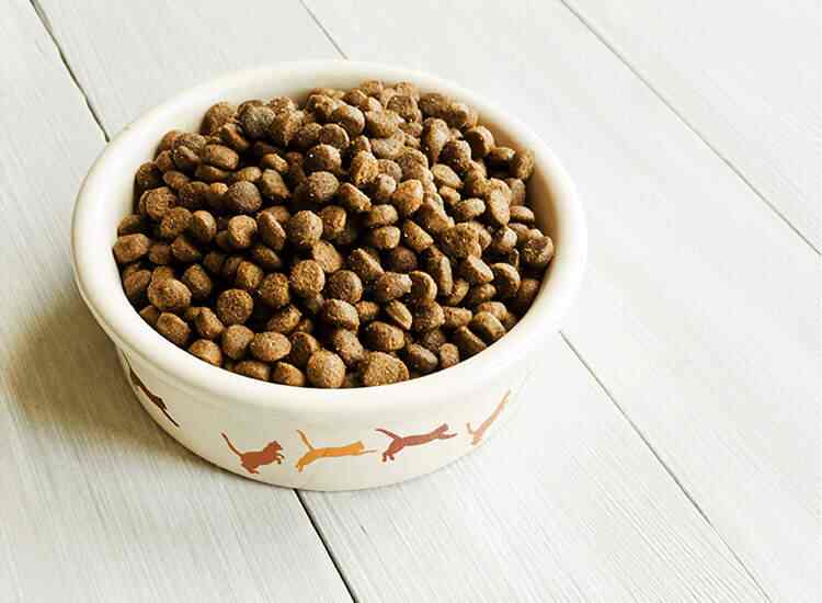 Prima Industries Limited, Marine Drive Animal Feed Dealers in