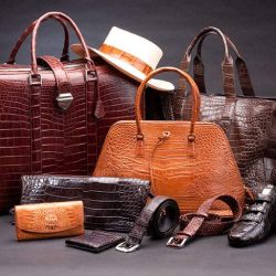 Top Bag Manufacturers in Garhwa Best College Bag Manufacturers Justdial