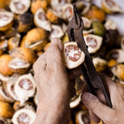 tobacco cala millor Tobacco Mulling