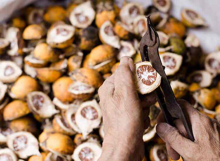 Ashok & Company Pan Bahar Ltd (Registered Office), Nayaganj Pan