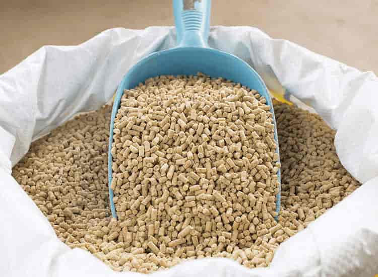 Shri Bihari Ji Cattle Feed Pvt Ltd in Kanpur H O,Kanpur Best Cattle