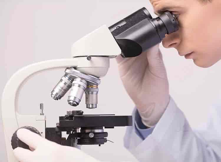 Top 100 Pet Care Takers in Bangalore Best Dog Care Takers Justdial