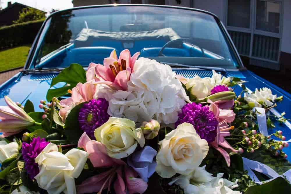 Sajan Aatishbaj Flower Decoration in Near Raghunath Nagar Band Market Jind Best Flower Decorators For Wedding Car near me in Jind Justdial