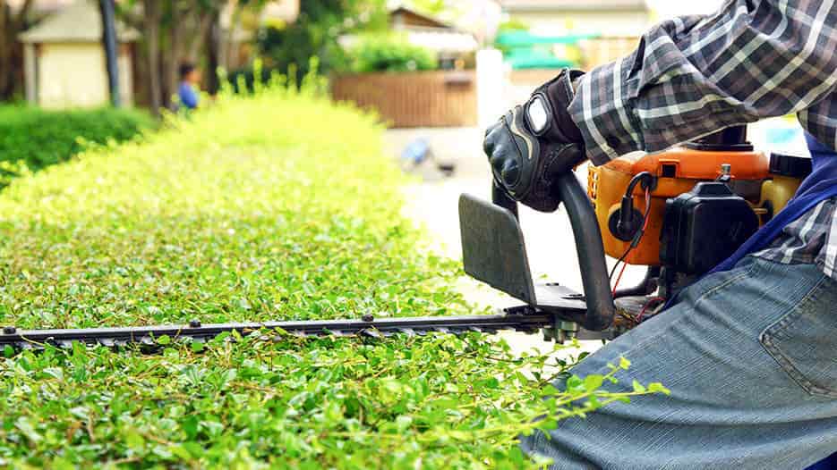 Housekeeping Services