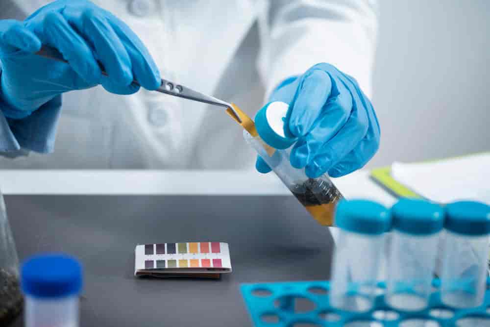 Top Laboratory Testing For Compost in Bangalore लेबोरेटरी टेस्टिंग