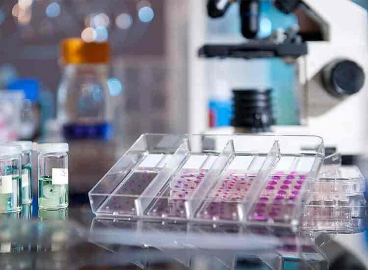 Vaibhav Analytical Laboratory in Nizampura,Vadodara Best Laboratory