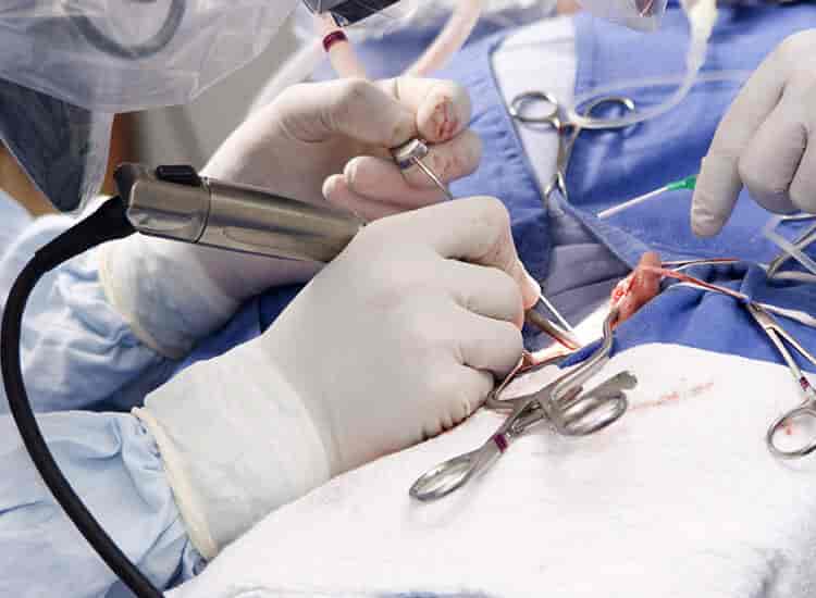 Bioteknika in Satellite,Ahmedabad - Best Medical Equipment Dealers in ...