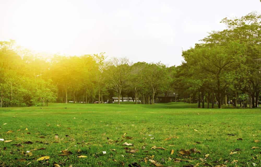 Top Parks in Budvel - Best Gardens near me - Justdial