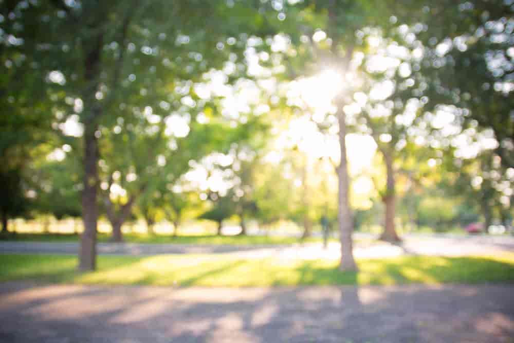 Kukatpally Park Kukatpally Parks In Hyderabad Justdial