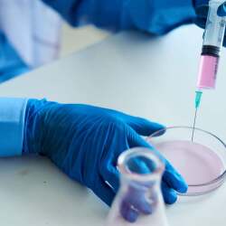 Lab view 7