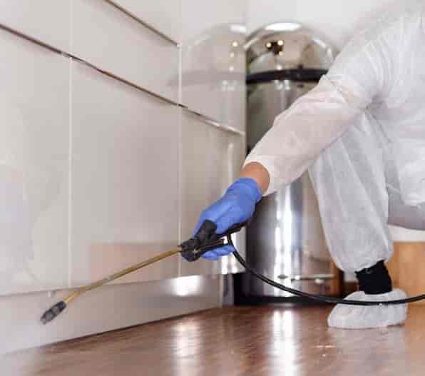 Ultra Pest Control Pvt Ltd, Malad West Residential Pest Control