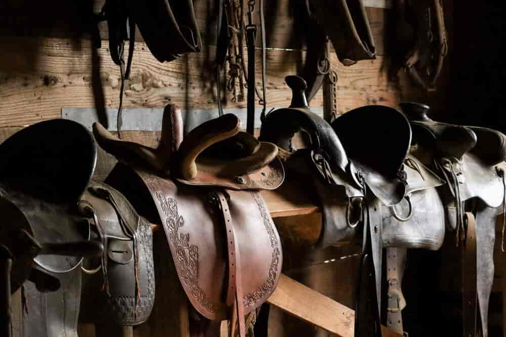 Horse supplies store near me shop