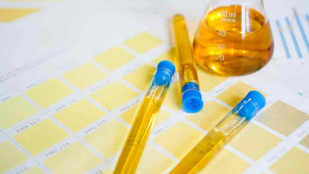 Lab Detail Image