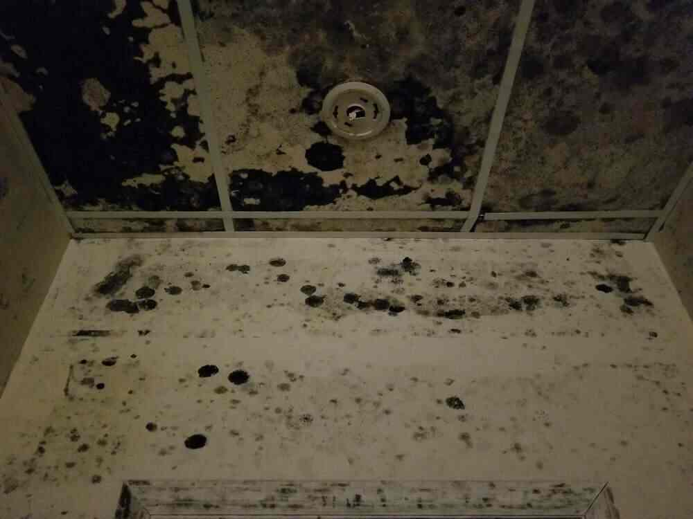 Waterproofing Domlur Water Damage Restoration Services In Bangalore Justdial Waterproofing Domlur Water Damage, Who To Contact For Water In Basement Bangalore