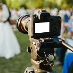 Silikon kokrakli yalangoch jojalar