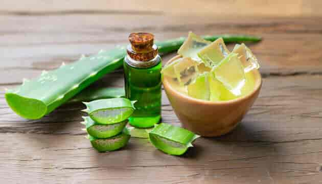 Aloe Vera Freeze-dried Powder supplier