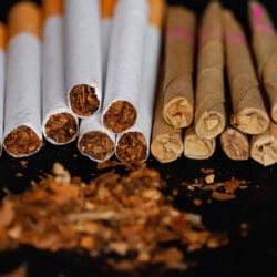 h and m cigarette trousers H&M's Cigarette Trousers Are a Best Seller, so I Tried Them