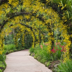 Top Botanical Gardens in Mp Nagar Zone 1 - Best Botonical Gardens