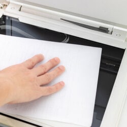 Top Century Green A4 Size Paper Wholesalers in Por - Best Century ...