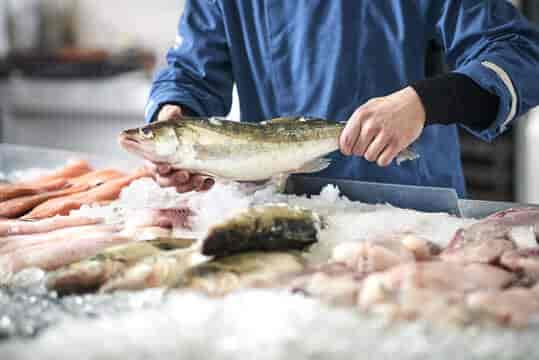 Top Fish Markets in Faridabad Sector 22 - Best Seafood Market