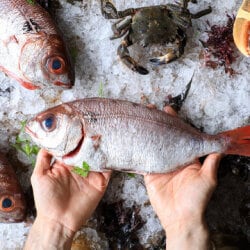 Top Fish Markets in Gurgaon Sector 22 - Best Seafood Market - Justdial