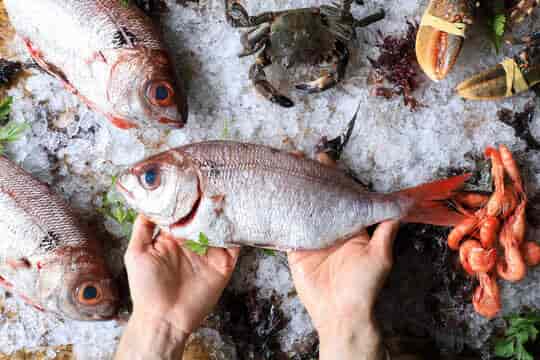 Top Fish Markets in Gurgaon Sector 22 - Best Seafood Market - Justdial