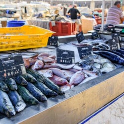 Fish shop online