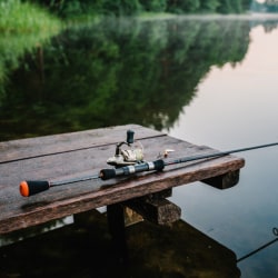 Fishing Clubs in Gurukulsupa Valsad, Valsad - Page 5