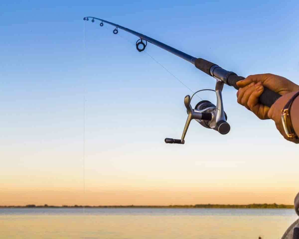 cheap fly fishing rod and reel ALGONQUIN RODS – Daiwa US Puppy reliable Liquid S reel Size:60LB 0.37mm (16 Strands)-547 Yds Fishing Setup & Bluegill