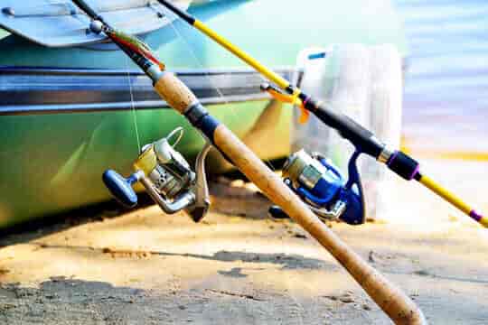 best nets for catching small fish in streams FOYTOKI Fishing Net Handle Metal Crafted Net Frog Freshwater Aquarium Round Shape Fine Mesh Sturdy Easy to Use Multi-Purpose : Sports & Outdoors Classic ABU CARDINAL 54 Fishing Reel with box as new condition Available for both saltwater Baitcast Combo Abu Garcia Type:Octopus - Titanium Black