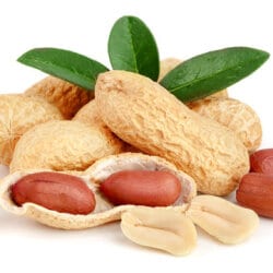 Top Groundnut Wholesalers in Panruti near me - Justdial