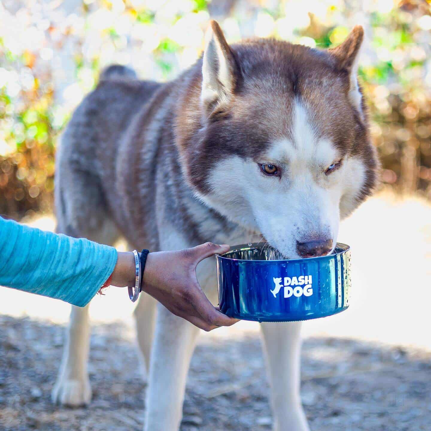 Heads Up For Tails in Colaba,Mumbai Best Pet Food Dealers in Mumbai
