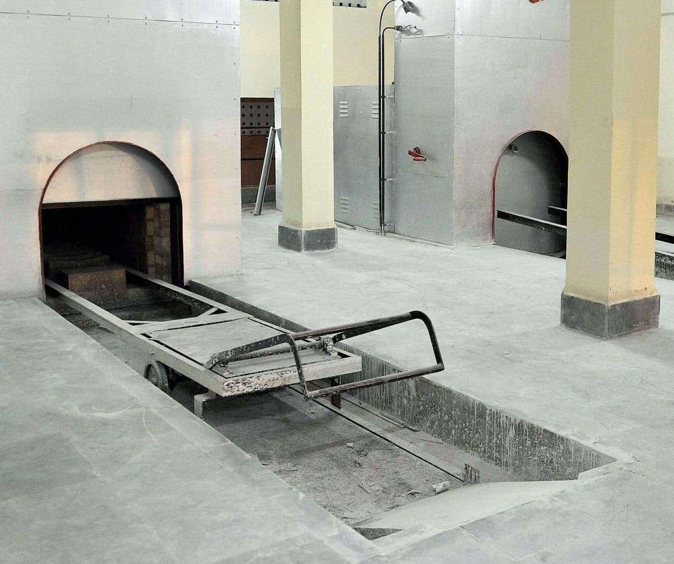 Top Pet Burial Services in Bhubaneshwar near me - Justdial