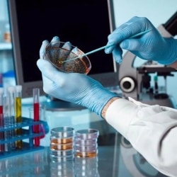 Lab view 17