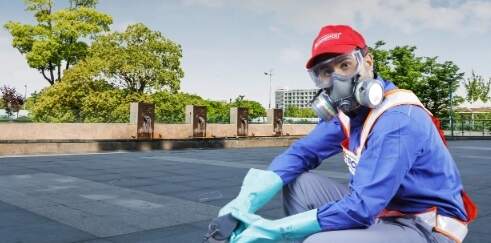 Rentokil PCI in Parra,Goa - Pest Control Services near me in Goa - Justdial